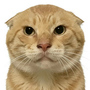 玩家头像