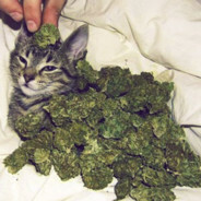 󠀡󠀡󠀡󠀡󠀡󠀡󠀡󠀡