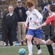 el tutti di la frinco