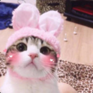 枪马耳聋眼还瞎