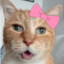 meow