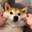 529