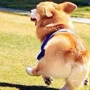 犹豫就会白给