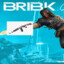 brink 2011 shooter