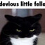 MrJiffy