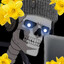Zor