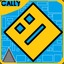 cally494