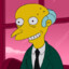 Mr.Burns TM
