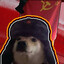 哈哈哈