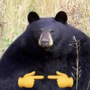 maurit0