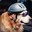 bikedog