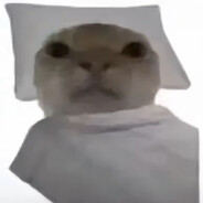 竹间生清风 - steam id 76561199144380138