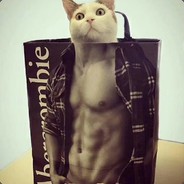 独自在家的猫