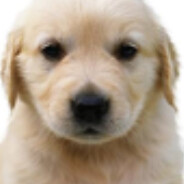 d1ck hard,guns not hard