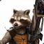 R´racoon