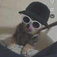 TOSKA ANTONINA [*]