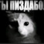 hgb0ss