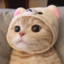 AixHao