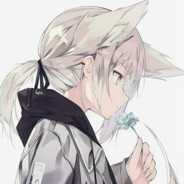 青春粉毛小狗不会梦到神秘伪证女