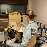 导演  这集躺哪