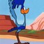 Road Runner