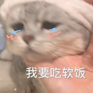 不喜欢番茄炒蛋啊啊啊啊