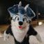 Sylas The DeerDog
