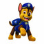 Perrito Paw Patrol