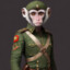 Sgr Monkey