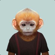 291696629