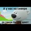 Густ