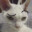 lordrupin Steam avatar