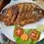 tilapia