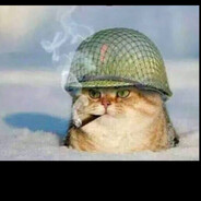 war cat