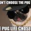 PUG$T3R