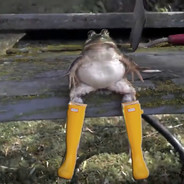 Frog Vibin' in Rain Boots (2020)