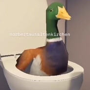 Lovely Green Duck