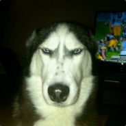Grimace - steam id 76561197971002934