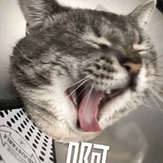 扳起手指数星星