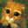 el gato