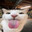 qqqq