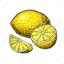 Yuki Lemon