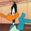 Duck Dodgers