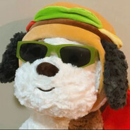 晒太阳的懒狮子王