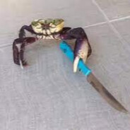 Mr Crabby