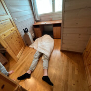 natus vincere aleksib