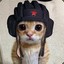 KOT3 HAPKOT3