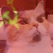 "Товарищ Plushka"