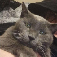 D̴̰̊e̴̥͐a̴̰̅t̷̻̃h̷