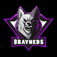 Brayneds